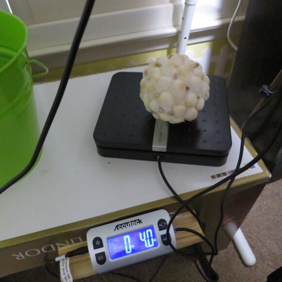 Sea Shell Ball - Orb - Round Coastal Decoration 12" round - Picture 9 of 10